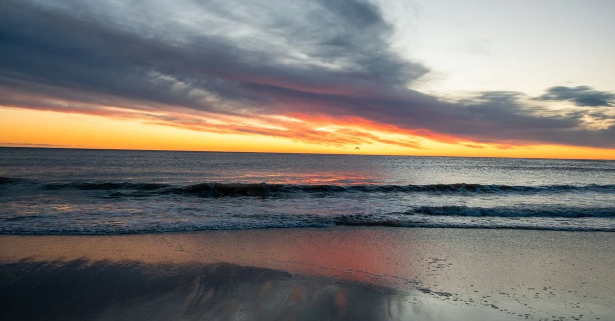 Fly San Francisco to New Orleans Without Breaking the Bank: A Complete Price Guide