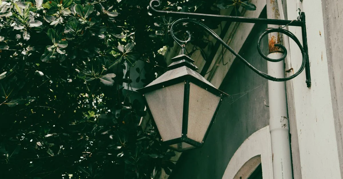 Fly San Francisco to New Orleans Without Breaking the Bank: A Complete Price Guide