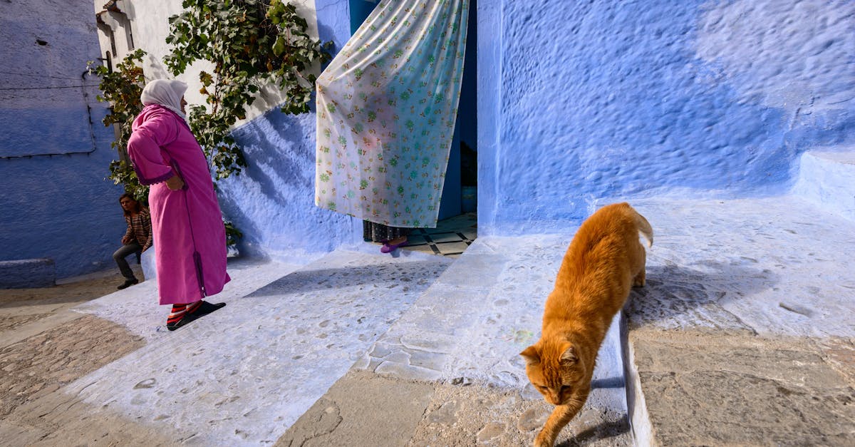 chefchaouen-culture-tours