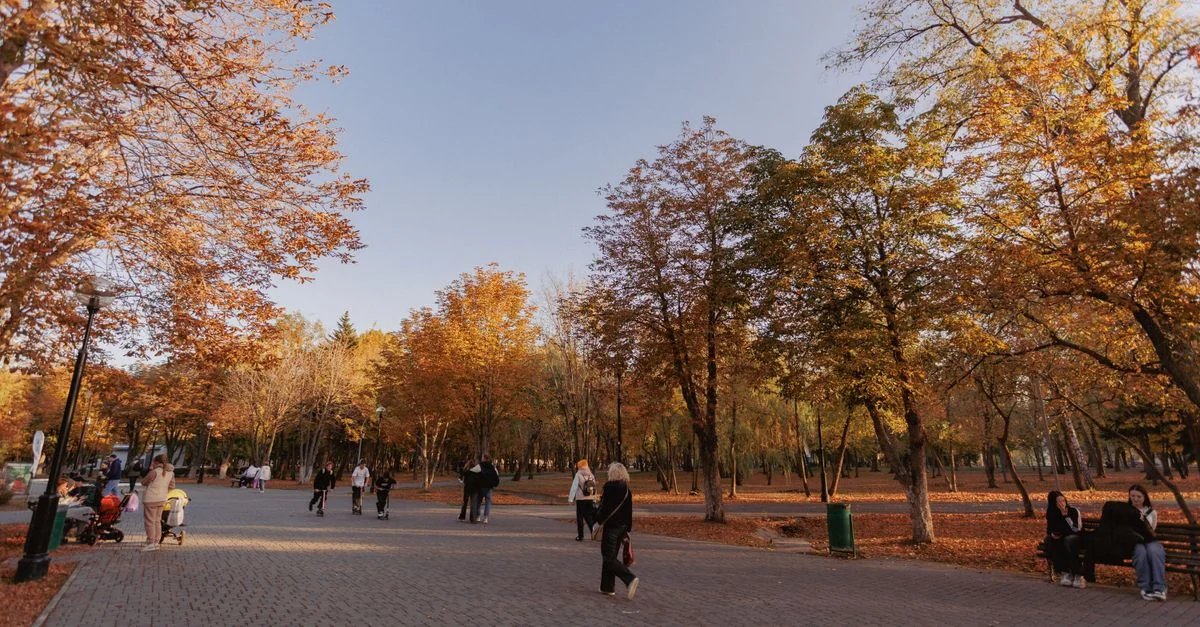 Chisinau: A Journey Through Time and Art