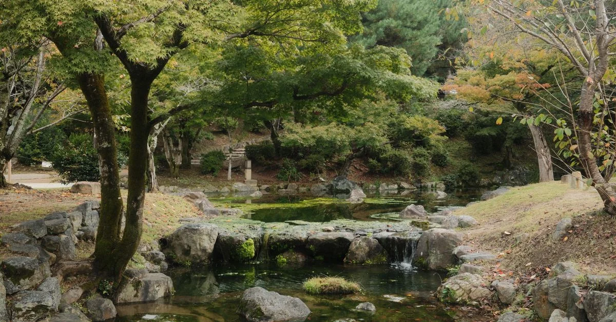 Exploring Hokkaido: Multi-Day Tours Starting from Chitose
