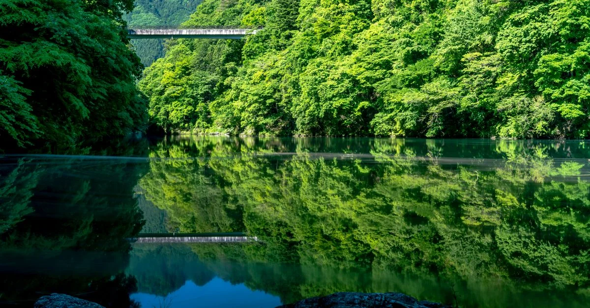 Exploring Hokkaido: Multi-Day Tours Starting from Chitose