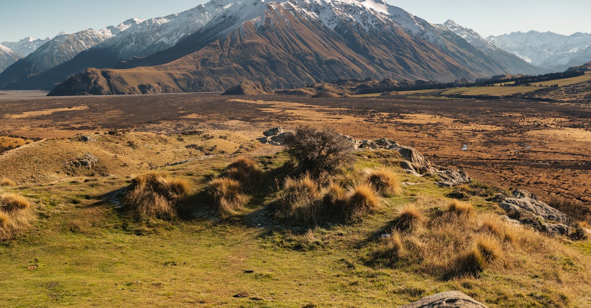christchurch-travel-guide