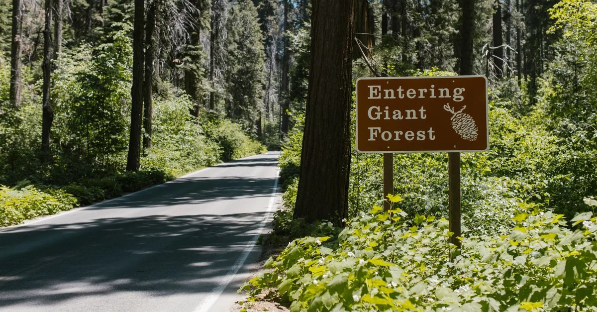 Clark County Adventure Guide: Desert Trails, Hot Springs, and ATV Thrills with Prices and Tips