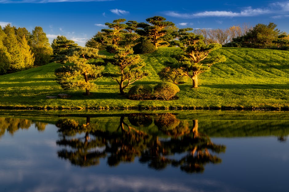 clark-county-walking-tours