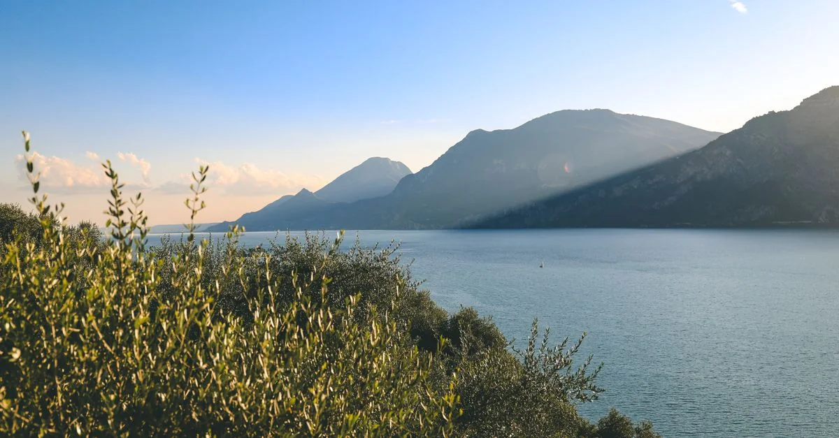 Best Cruise Tours in CO