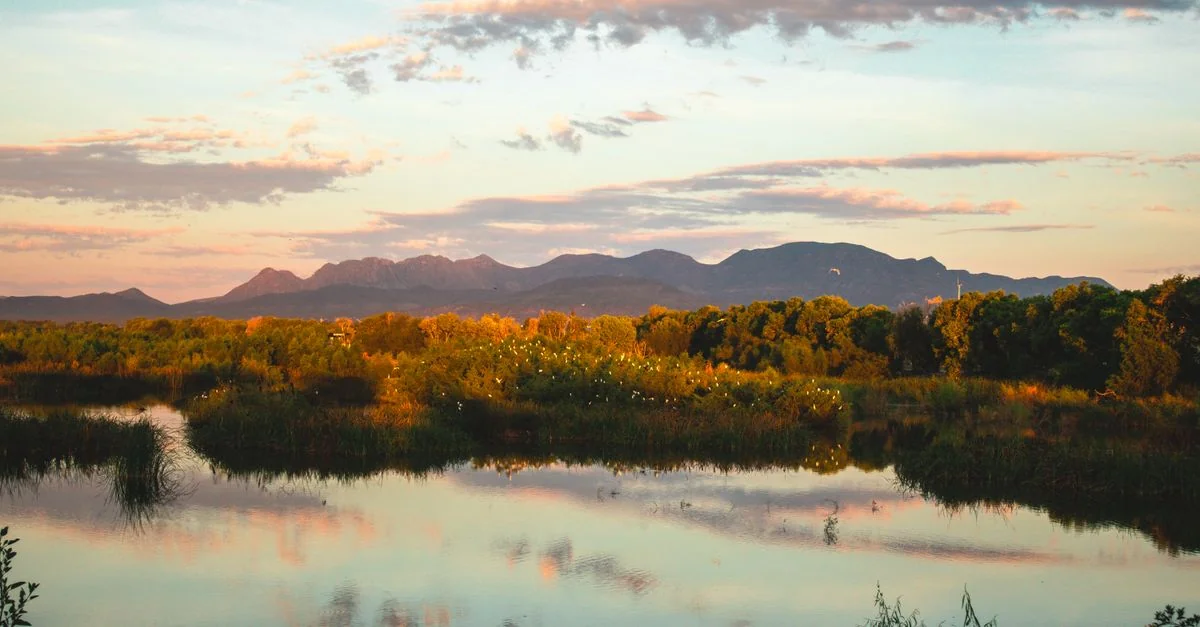Cochise County Adventure Guide: Hiking Tours with Prices and Prices and Tips