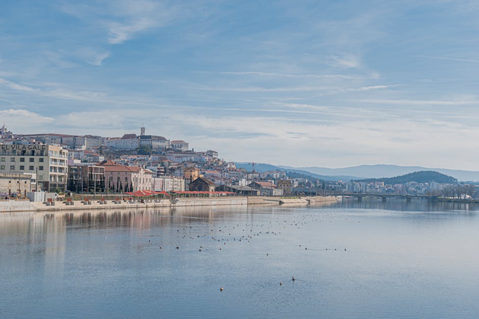 coimbra-to-porto-bus