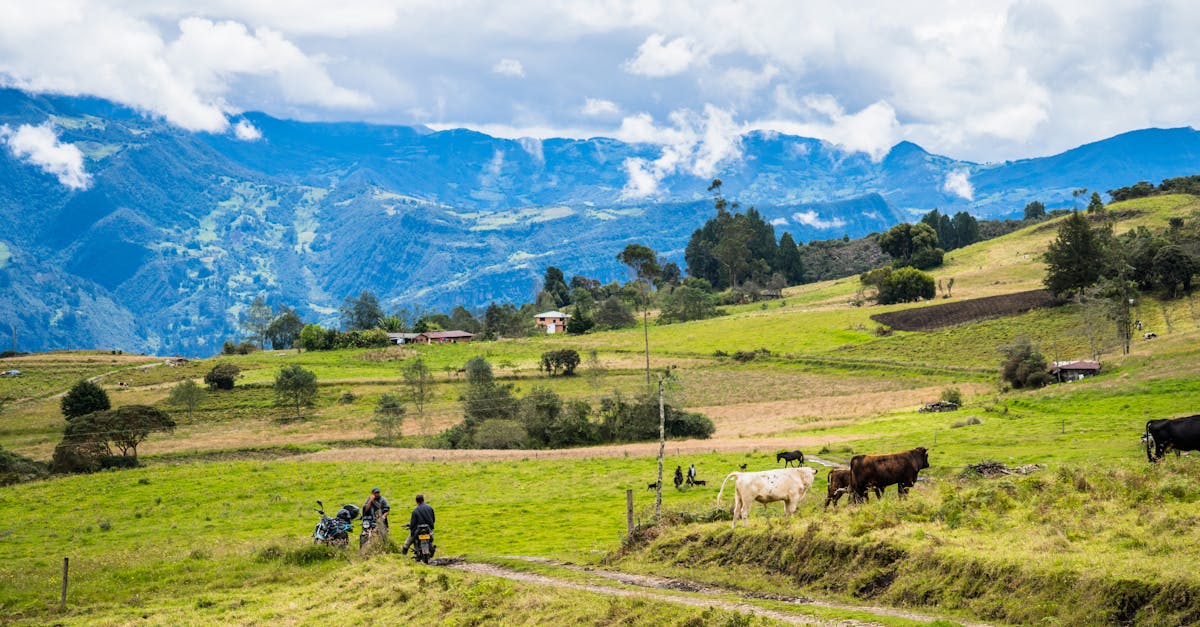 colombia-visa-free