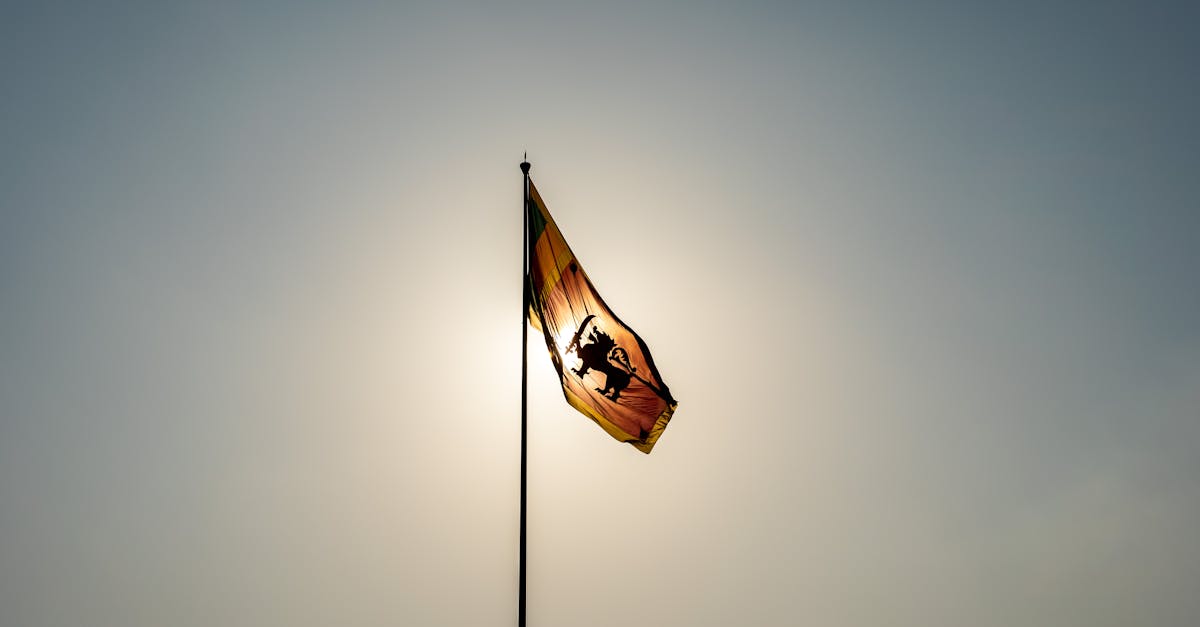 colombo-transfers