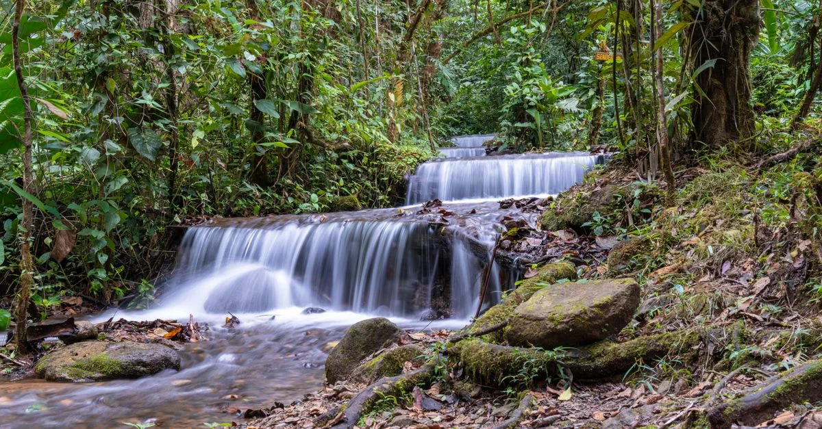 Nature and Wildlife Tours in Costa Rica: Safari, Birdwatching and Eco Adventures