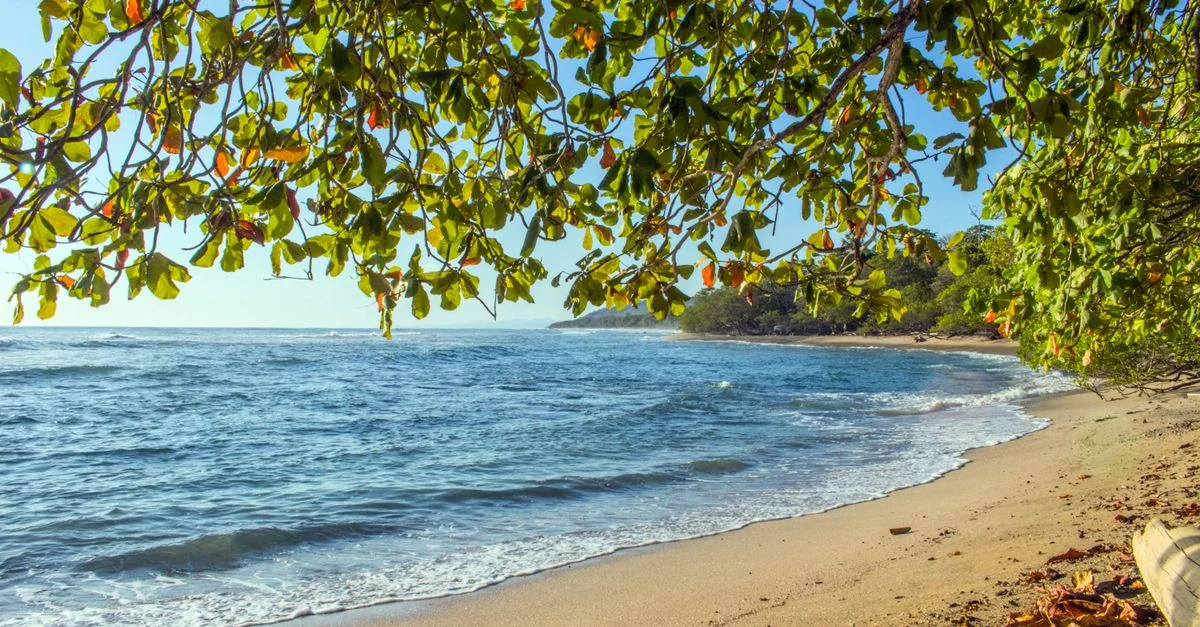 Nature and Wildlife Tours in Costa Rica: Safari, Birdwatching and Eco Adventures