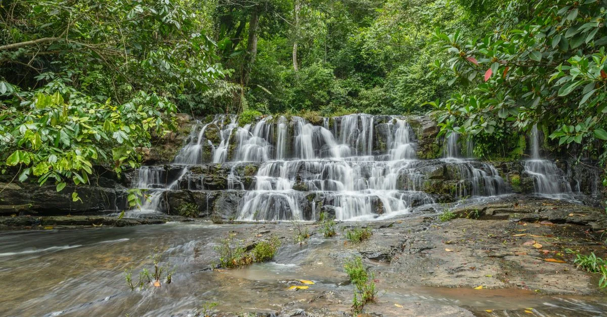 Nature and Wildlife Tours in Costa Rica: Safari, Birdwatching and Eco Adventures