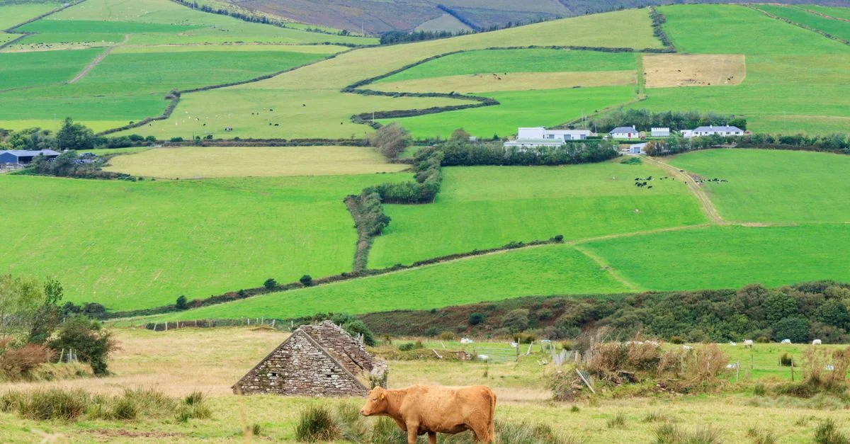 Best Photo Tours in County Kerry