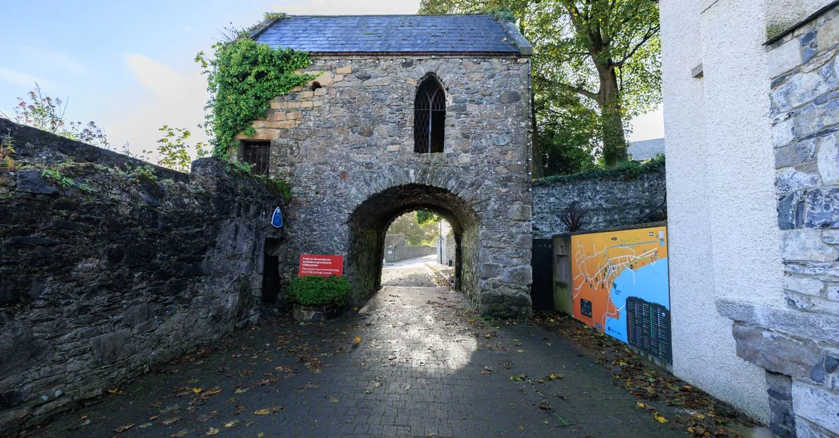 County Tipperary Adventure Guide: Mountain Biking with Prices and Tips