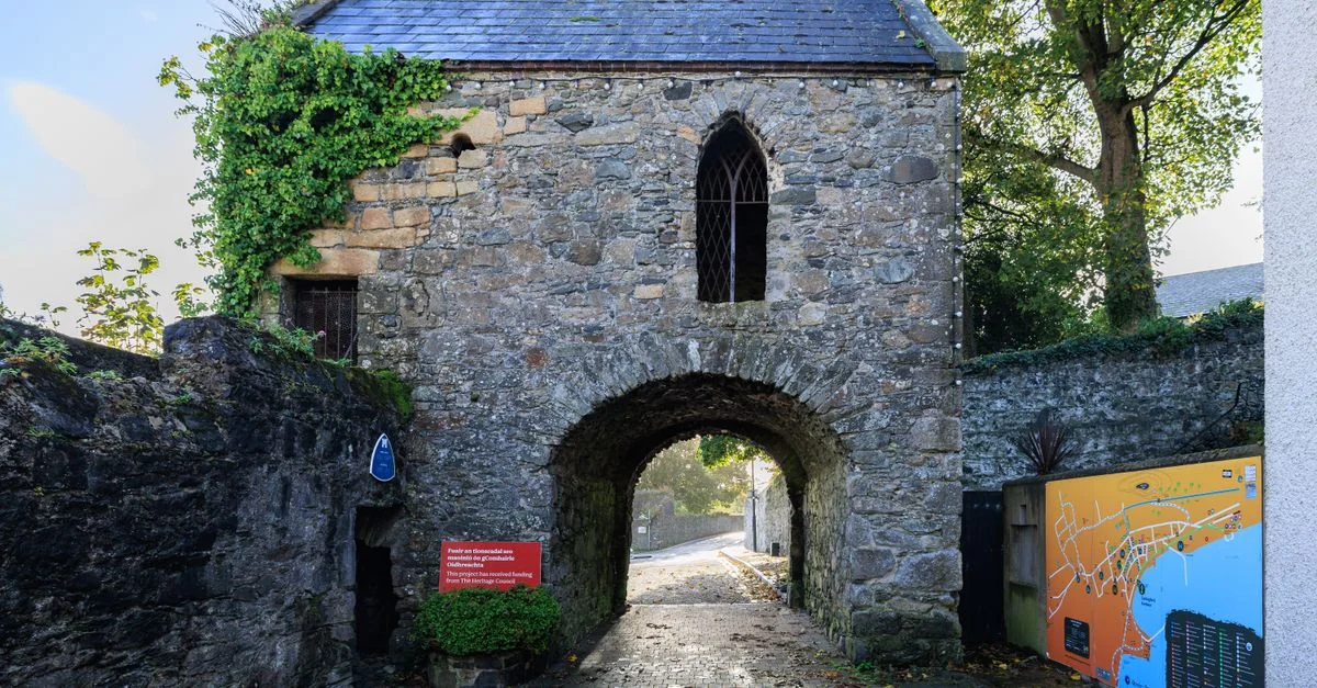 County Tipperary Adventure Guide: Mountain Biking with Prices and Tips