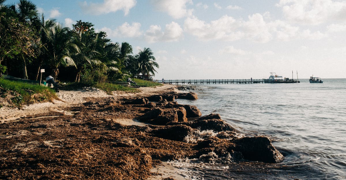 cozumel-travel-guide