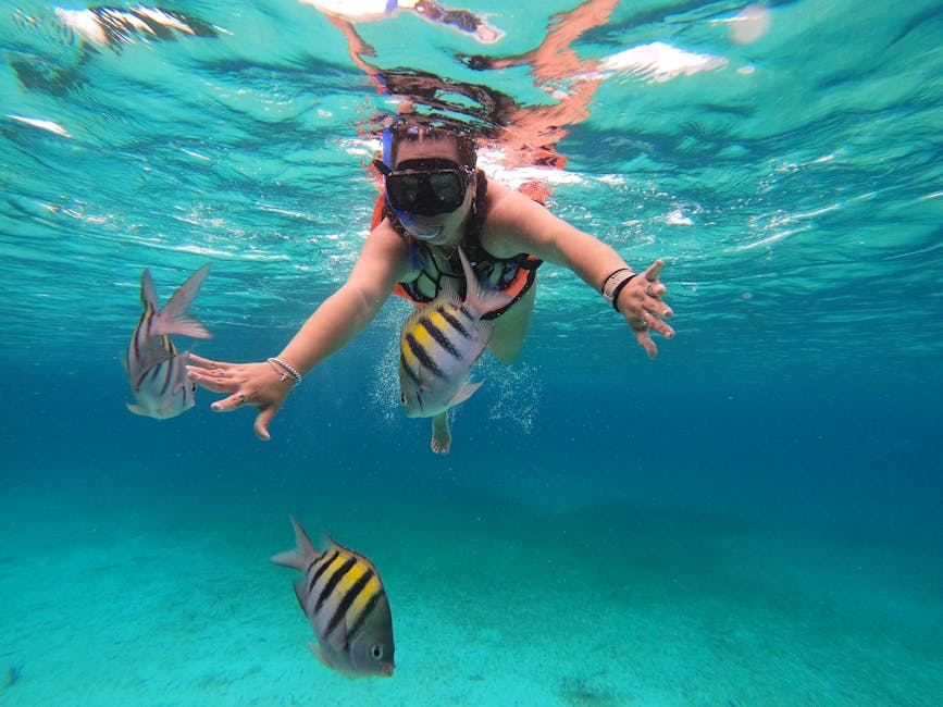 cozumel-travel-guide