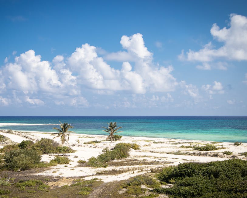 cozumel-travel-guide