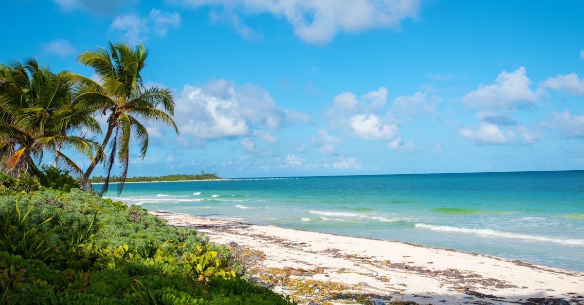 cozumel_cruise-port-guide