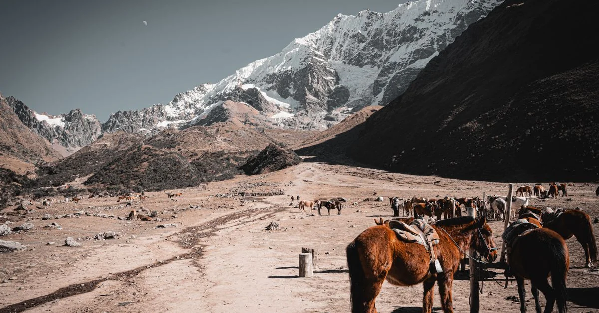 Exploring Cusco: The Best City Tours and Sightseeing Guide