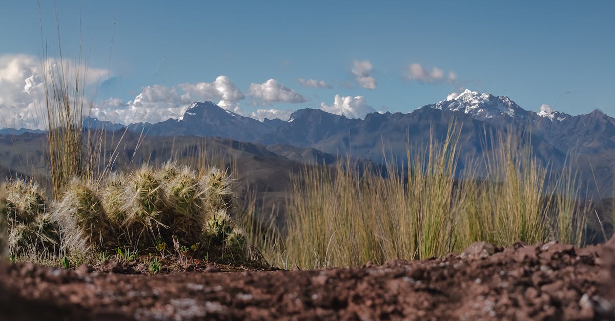 cusco-hiking-tours