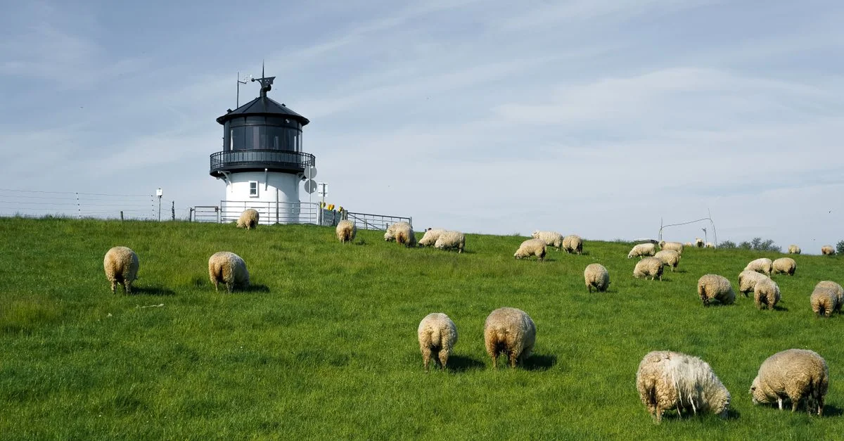 Navigating from Cuxhaven to Hamburg: A Direct Transit Route Guide
