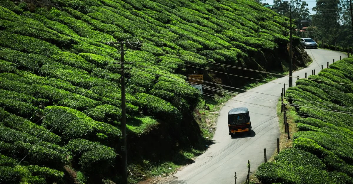 Darjeeling Adventure Guide: Hiking Tours with Prices and Tips