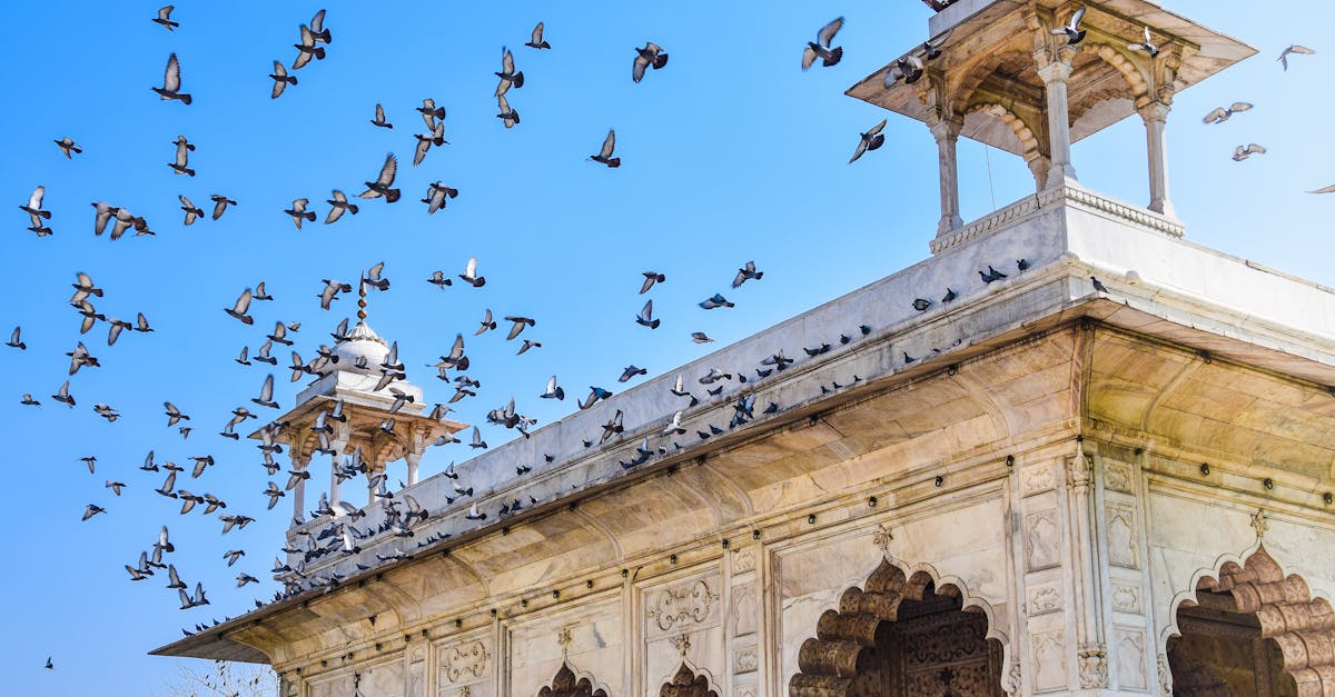 delhi-division-food-tours