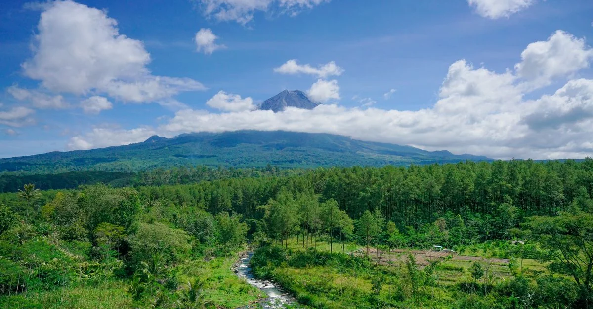 Denpasar Day Trips: Navigating the Highlands and Sacred Sites