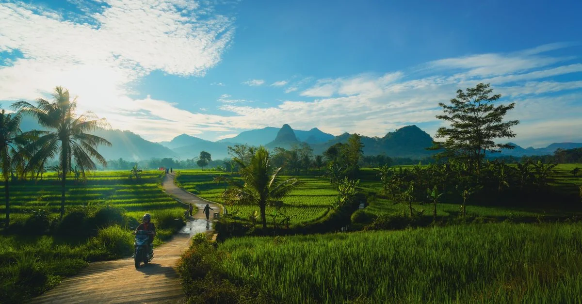 Denpasar Day Trips: Navigating the Highlands and Sacred Sites