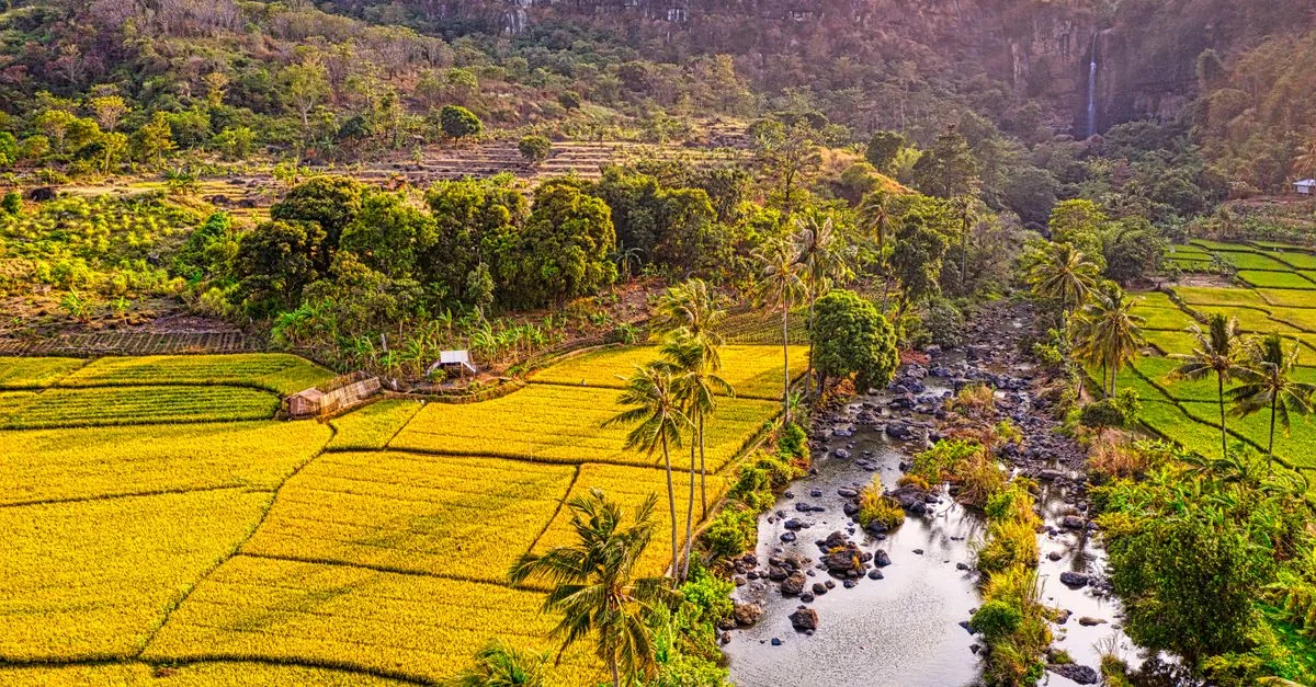 Denpasar Day Trips: Navigating the Highlands and Sacred Sites