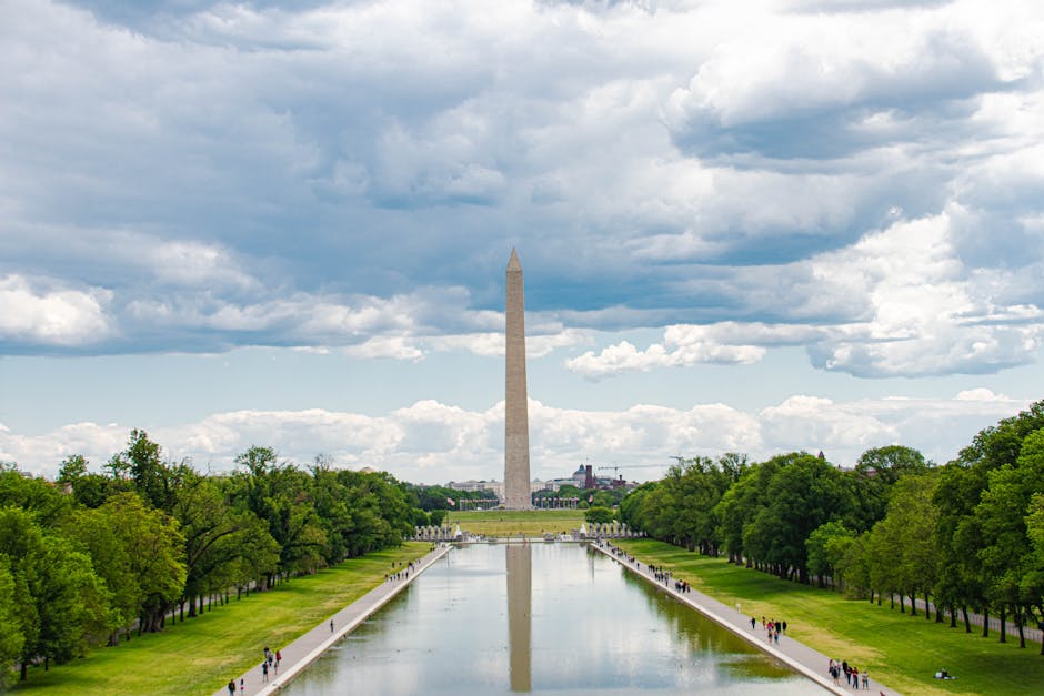 district-of-columbia-transfers
