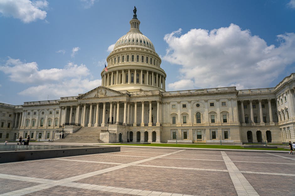 district-of-columbia-transfers