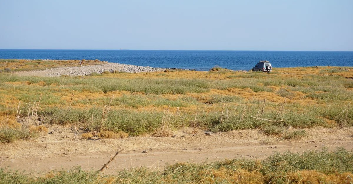 Djibouti Passport Visa Requirements and Travel Freedom Guide