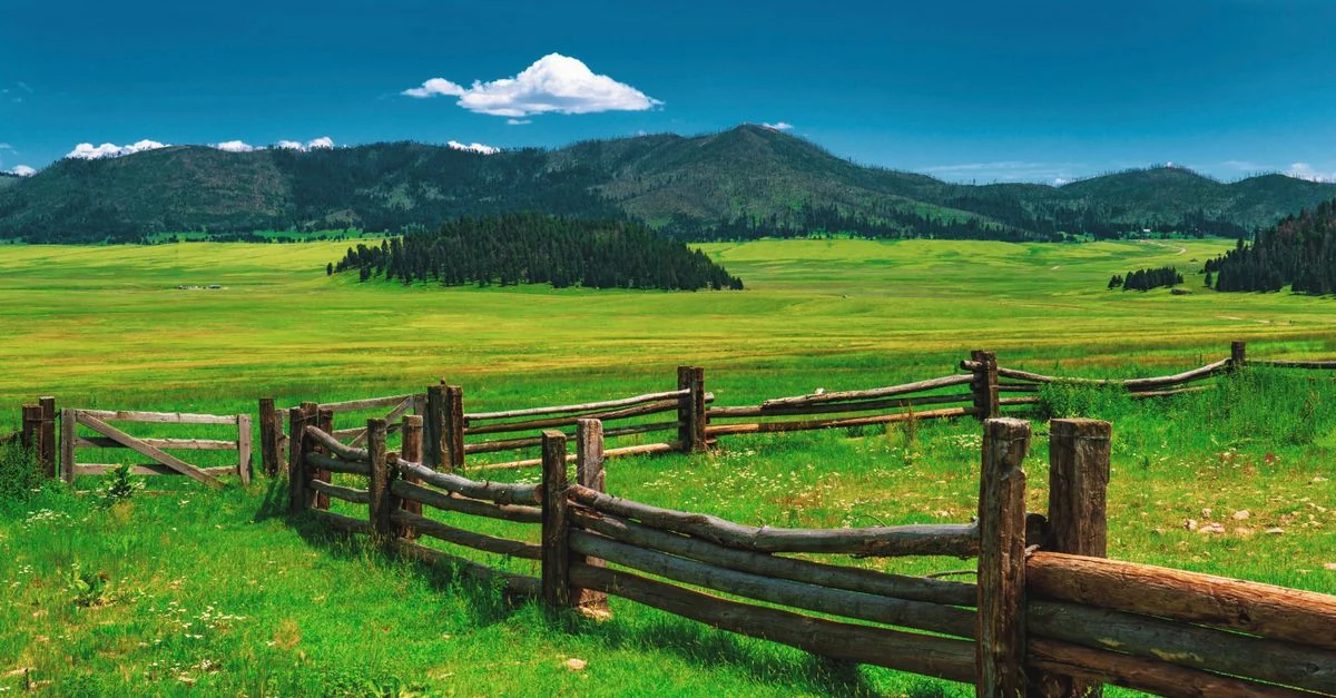 Best Photo Tours in Douglas County
