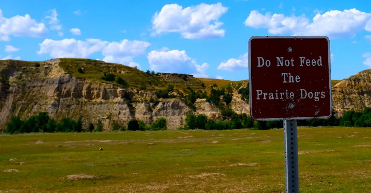 Best Photo Tours in Douglas County