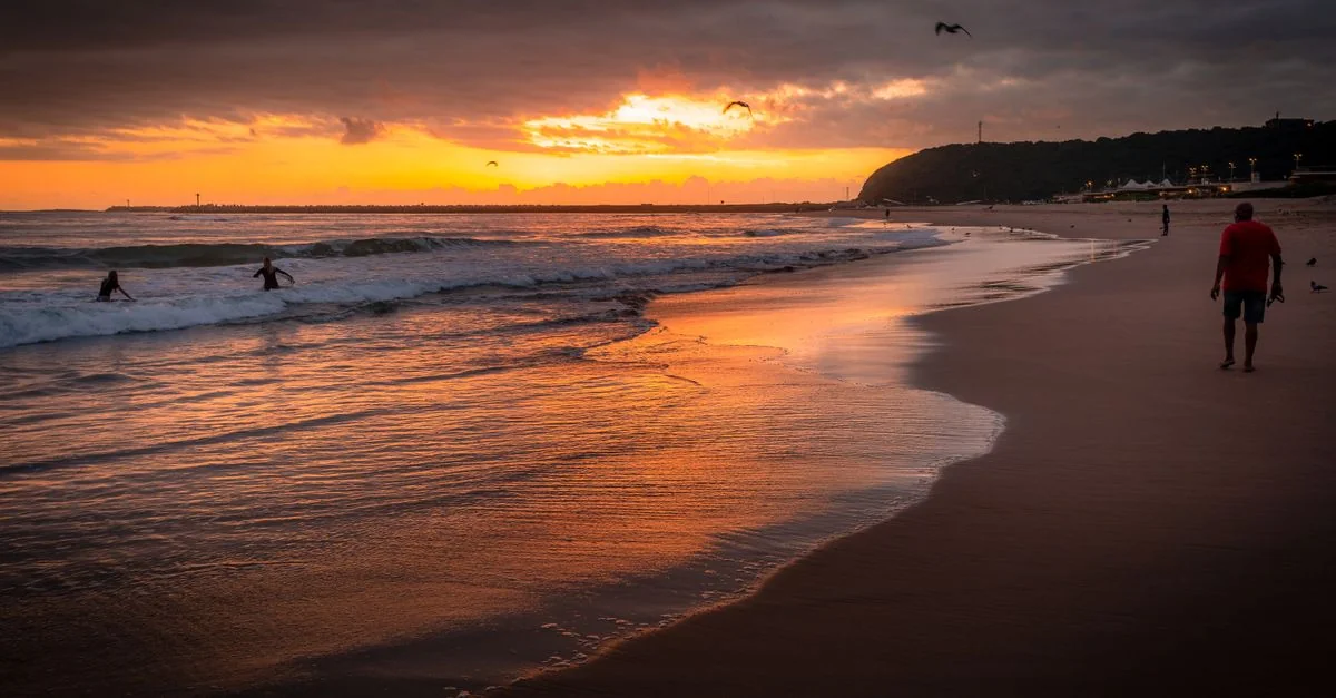 Nature and Wildlife Tours in Durban: Discover South Africa