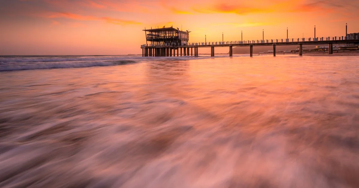 Nature and Wildlife Tours in Durban: Discover South Africa