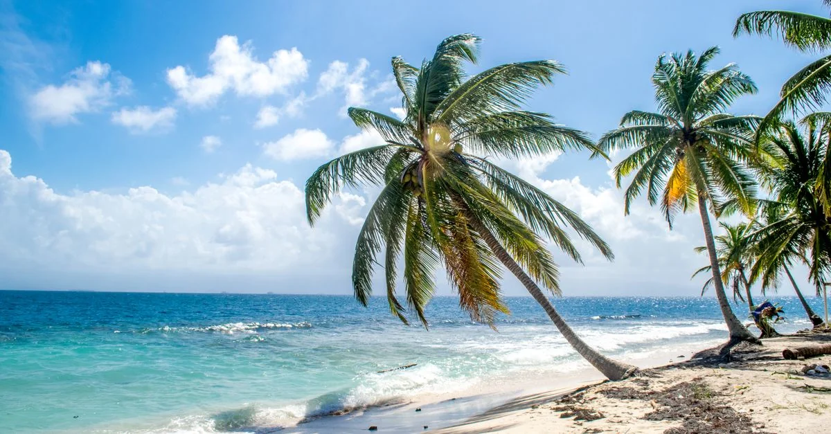 Best Cruise Tours in East End