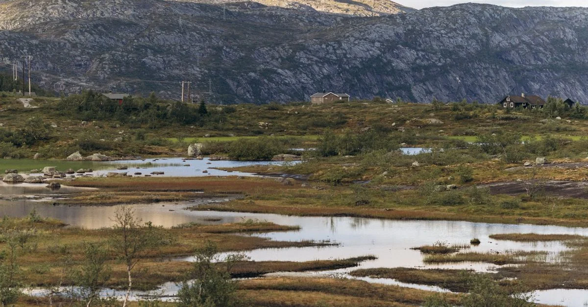 Eidsvoll Adventure Guide: Mountain Biking Tours with Prices and Tips