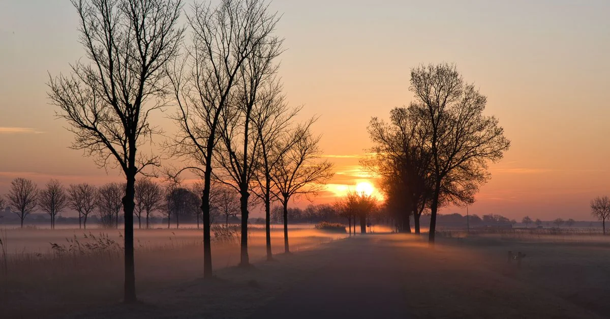 Eindhoven Walking Tours Guide: A Pedestrian&rsquo;s Perspective