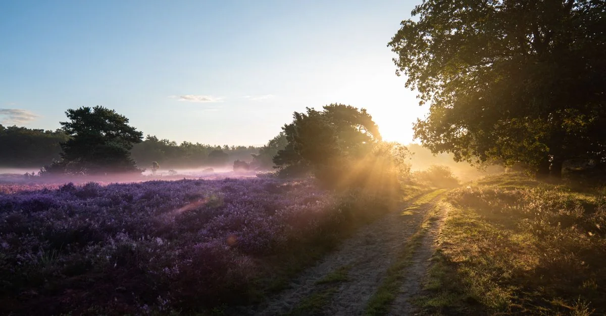 Eindhoven Walking Tours Guide: A Pedestrian&rsquo;s Perspective