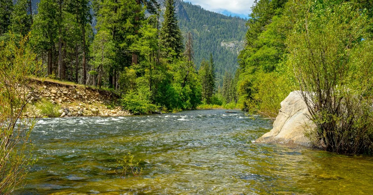 El Dorado County Adventure Guide: Mountain Biking with Prices and Tips