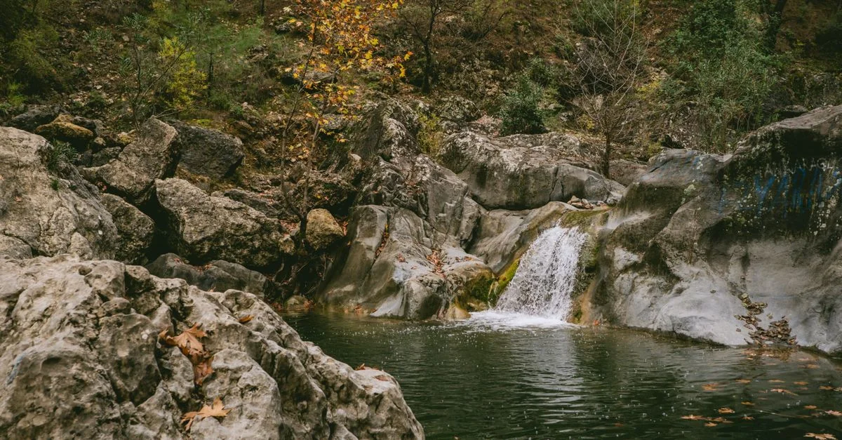 El Dorado County Adventure Guide: Mountain Biking with Prices and Tips