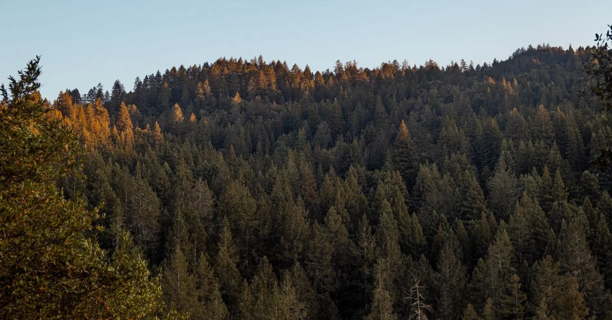 El Dorado County Adventure Guide: Mountain Biking with Prices and Tips
