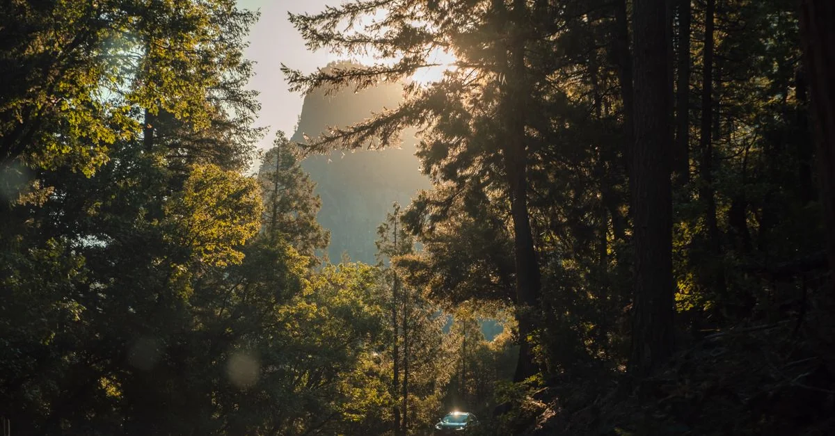 El Dorado County Adventure Guide: Mountain Biking with Prices and Tips
