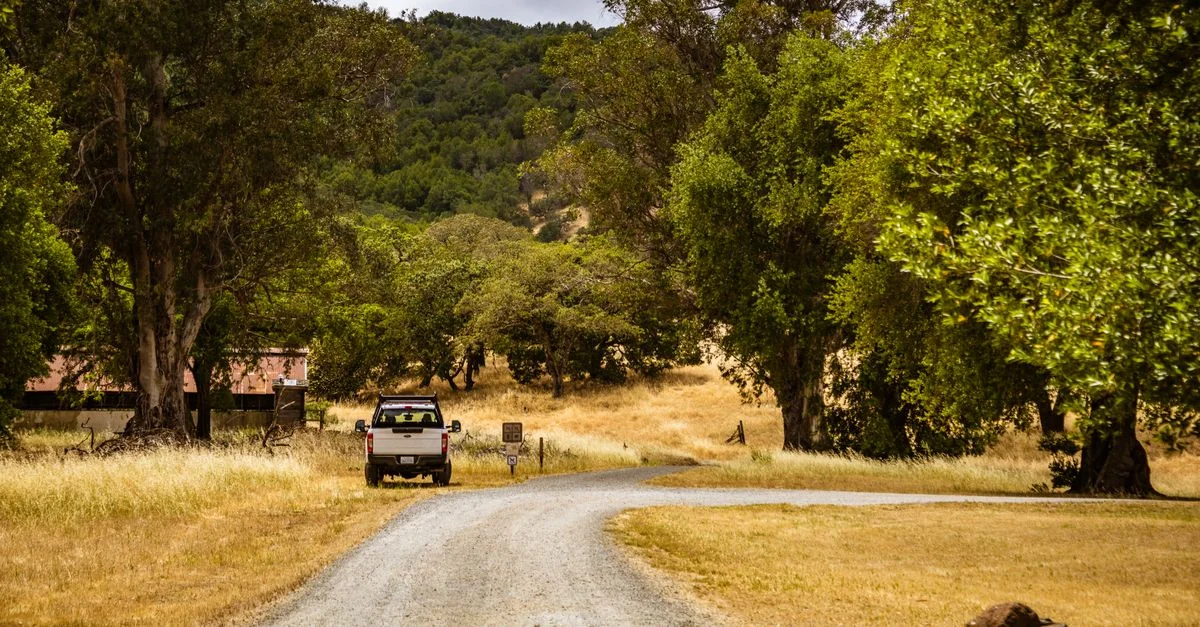 The Ultimate Guide to Walking Tours in El Dorado County