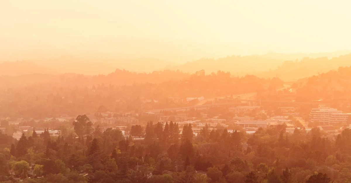 The Ultimate Guide to Walking Tours in El Dorado County
