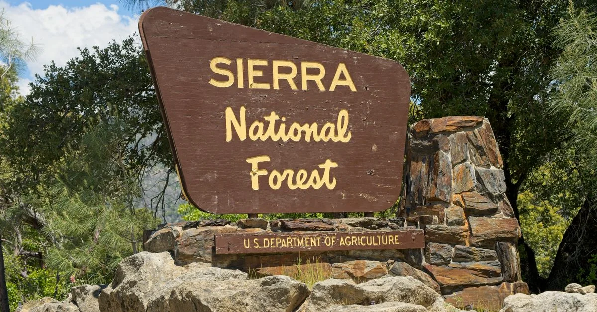 The Ultimate Guide to Walking Tours in El Dorado County
